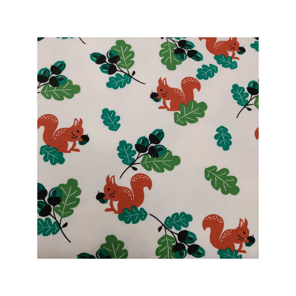 Jersey printed material with squirrel