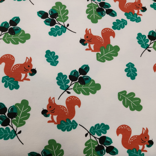 Jersey printed material with squirrel